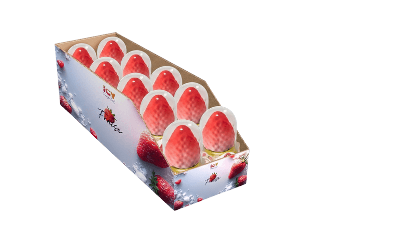 Boîte Fraise (x10)